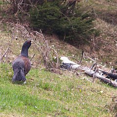 IMG_6896