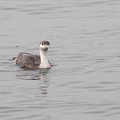 IMG_0167