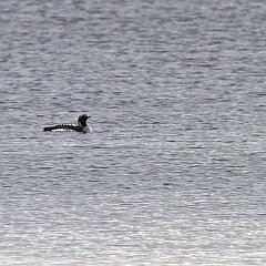 IMG_3073