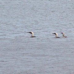 IMG_4842