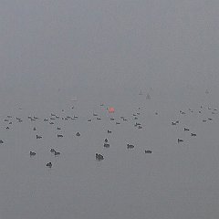 IMG_4906