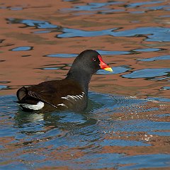 IMG_5637