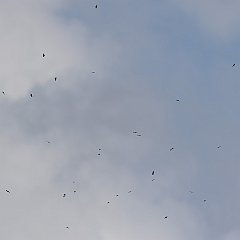 IMG_0023