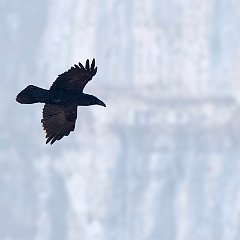 IMG_1355