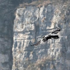 IMG_1360