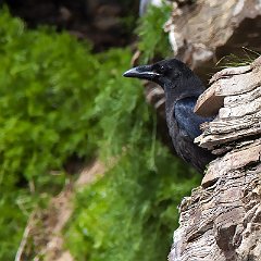 IMG_3744