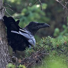 IMG_5873