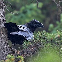 IMG_5877