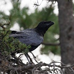 IMG_5880