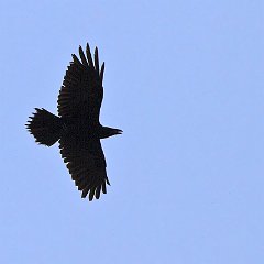 IMG_8804