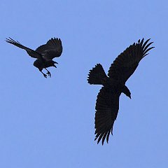 IMG_8813