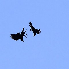IMG_8828