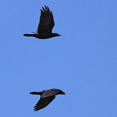 IMG_8892
