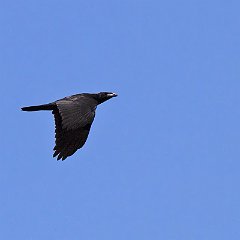 IMG_8903