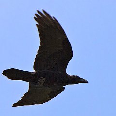 IMG_8912