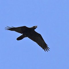 IMG_8914