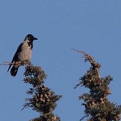IMG_0023