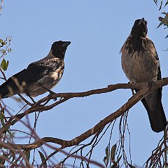 IMG_1675