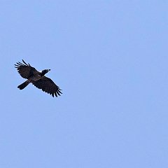 IMG_3040