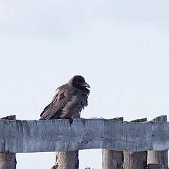 IMG_3428