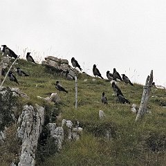 IMG_8842