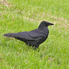 IMG_0504