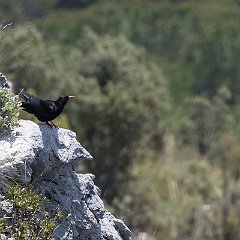 IMG_0656