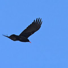 IMG_6999