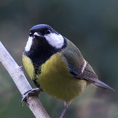 IMG_3149