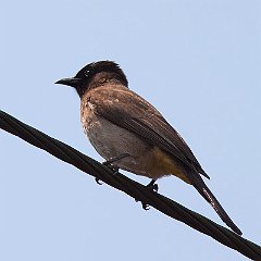 IMG_8722