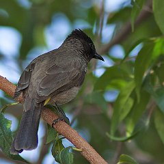 IMG_8797