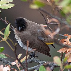 IMG_8947