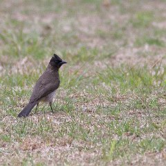 IMG_9085
