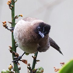 IMG_9621