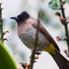 IMG_9624