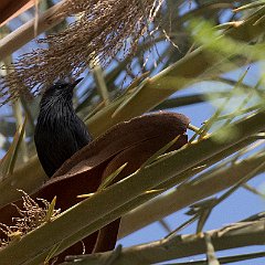 IMG_0621