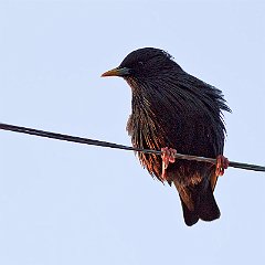 IMG_1748