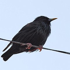 IMG_1754