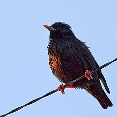 IMG_1769
