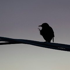 IMG_3162