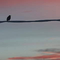 IMG_3197