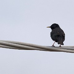 IMG_3203