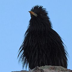IMG_3739
