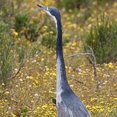 IMG_1834