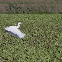 IMG_6853