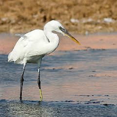 IMG_1427