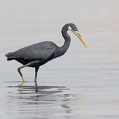 IMG_5592