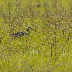 IMG_8147