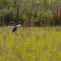 IMG_8150