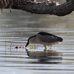 IMG_5710